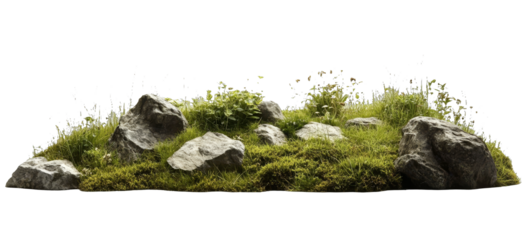 [Transparent Background PNG]Natural Landscape with Rocks and Grass