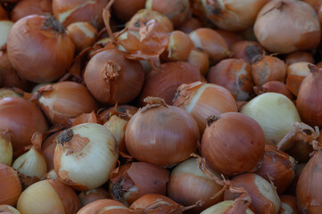 Freshly harvested onions piled together in a vibrant market setting