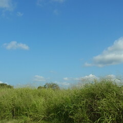 夏空（Summer sky）