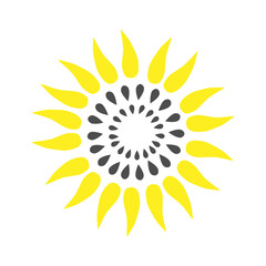 Stylized sunflower flower - yellow petals and black seeds in the center - color vector illustration, design element for logo, cards, clothes, labels, icons