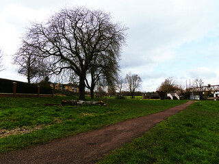 Tree and pathway on Midsummer Common in Cambridge, United Kingdom