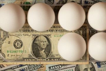 Chicken eggs in a tray and one dollar on the kitchen table, egg crisis in America, egg deficiency