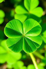 Close-up of a vibrant green four-leaf clover with detailed veins, symbolizing luck.