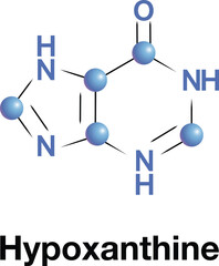 Hypoxanthine is a naturally occurring purine derivative. It is occasionally found as a constituent of nucleic acids