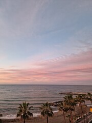 Tranquil Sunset Over a Palm-Fringed Beach