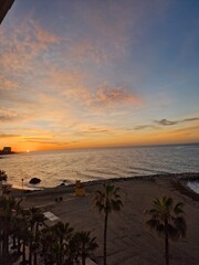 Tranquil Sunset Over a Palm-Fringed Beach