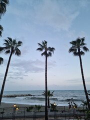 Serene Coastal Evening with Palm Trees
