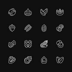Nut flat line white icon set on black background. Hazelnut, pecan, almond, chestnut, pistachio, walnut, peanut isolated collection. Editable stroke. Vector illustration.
