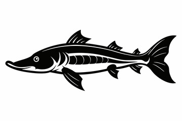 sturgeon freshwater fish line art silhouette vector illustration