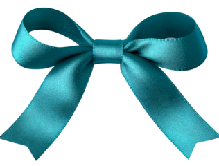 teal satin ribbon bow on white background