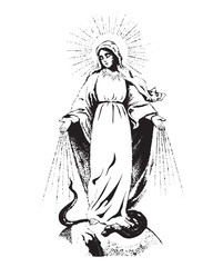 Our Lady of grace Catholic religious Virgin Mary Vector