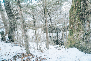 雪が残る忍野八海