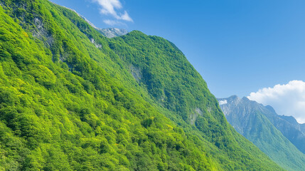 Fototapeta premium Lush Green Mountain Landscape Under Blue Sky