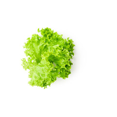 Lettuce green photography isolated on white background. Clipping path. Original shadow.