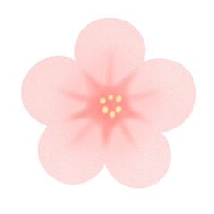 벚꽃