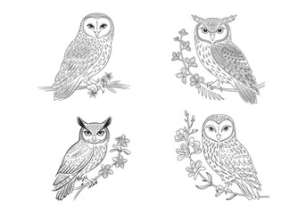 Owl Vector Set: Black White Bird Drawings - Get Nature Graphics