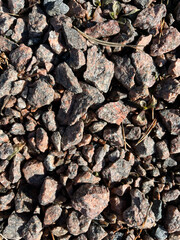 photography, nature, natural materials, spring