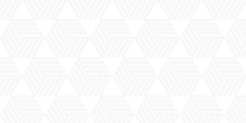 Fototapeta premium abstract geometrics white hexagonal type triangle business diamond creative background.