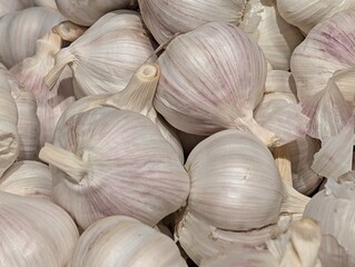 Garlic on market