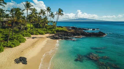 Obraz premium Tropical Paradise: Capturing the essence of paradise, a stunning aerial perspective reveals an idyllic beach fringed by swaying palm trees and turquoise waters meeting the horizon.