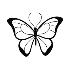 Butterfly  silhouette vector illustration 