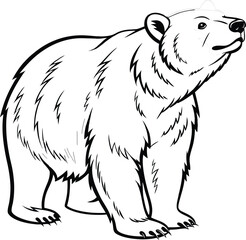 brown bear vector