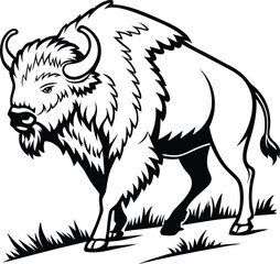 bufflo the forest