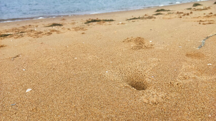 shore of Pazhaverkady beach, Tamil Nadu, India