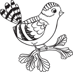 Fototapeta premium Adobe Coloring Bird Book Page Design. designed for kids to coloring Page and enjoy. Artwork