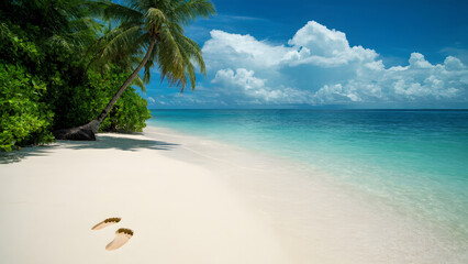 A pair of footprints leading to the water’s edge on a quiet tropical beach