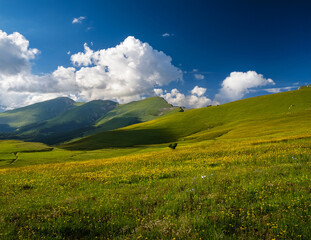 Obraz premium Generated image 夏の高原