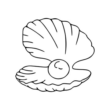 recommend clip art: oyster with pearl outline drawing