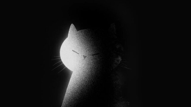 Animation of white cat in the dark room