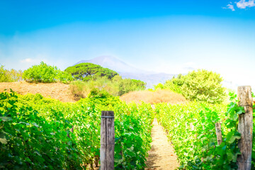 ruins of Pompeii, Italy