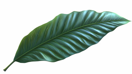 Fototapeta premium Vibrant Green Tropical Leaf, Detailed Illustration, A Single, Lush Leaf Exhibits Intricate Veining and a Smooth Texture, Perfect for Botanical Designs and Nature-Inspired Projects.