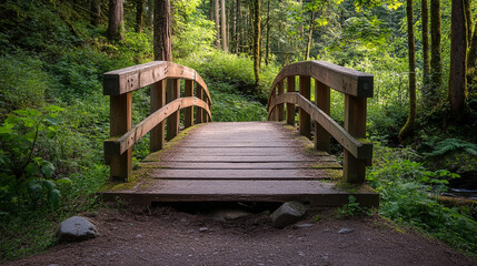 Scenic wooden bridge in lush green forest nature trail path calm walk park leaf moss trees woods