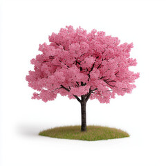 Fototapeta premium Stunning cherry blossom tree with delicate pink flowers set against a clear blue sky creating a serene outdoor scene with ample copy space for text