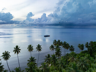 Early morning light illuminates coconut palms lining a serene beach on the remote, equatorial island of Unauna near the Togian Islands of Indonesia. This island lies off the east coast of Sulawesi.