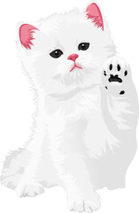 This illustration features an adorable white fluffy cat with soft and silky fur. The cat has a cute face with round black eyes and a small pink nose. Its ears are pointed with bright pink inner color