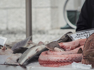 A variety of fresh fish, including swordfish cuts, displayed on ice at an outdoor market in Udine,...