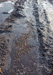 abstract frozen ice texture on muddy swamp road