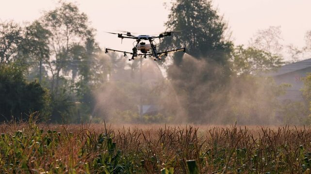 smart farming innovation, agriculture drone fly spraying fertilizer on cron field, agricultural industrial technology, slow motion