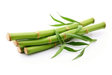Fototapeta premium Bamboo bamboo plant white background.