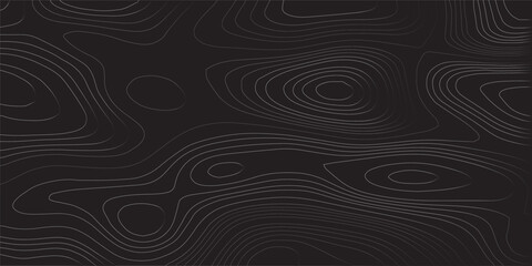 Abstract wavy topographic map. Abstract wavy and curved lines background. Abstract geometric topographic contour map background.	
