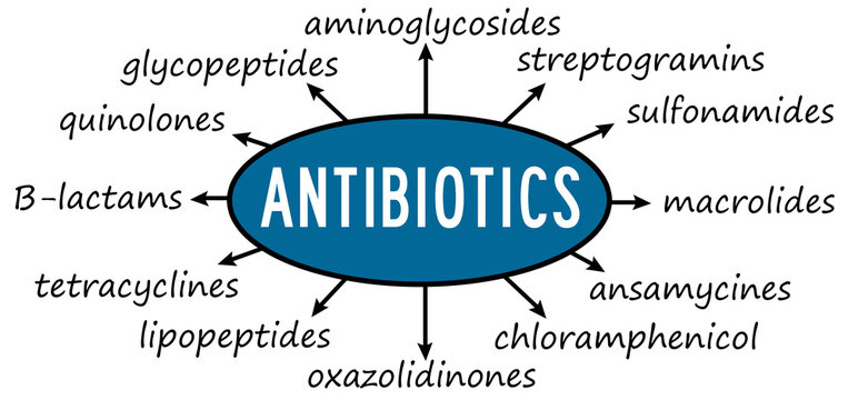 antibiotics overview