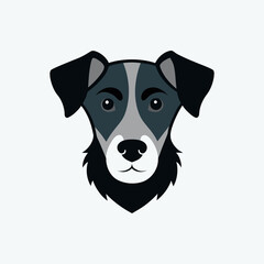 Cute dogs isolated on white background including a beagle dachshund and a dog with a ball