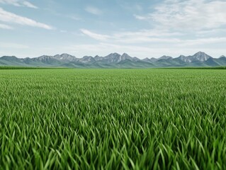 Obraz premium Lush Green Grass Field with Majestic Mountains Under a Clear Sky