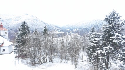 winter landscape with snow