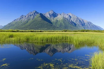 Serene Alaskan landscape with mirrored peaks. Lush green valley reflected in tranquil waters