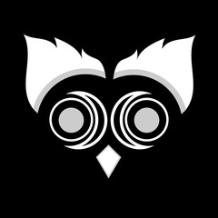 black and white owl